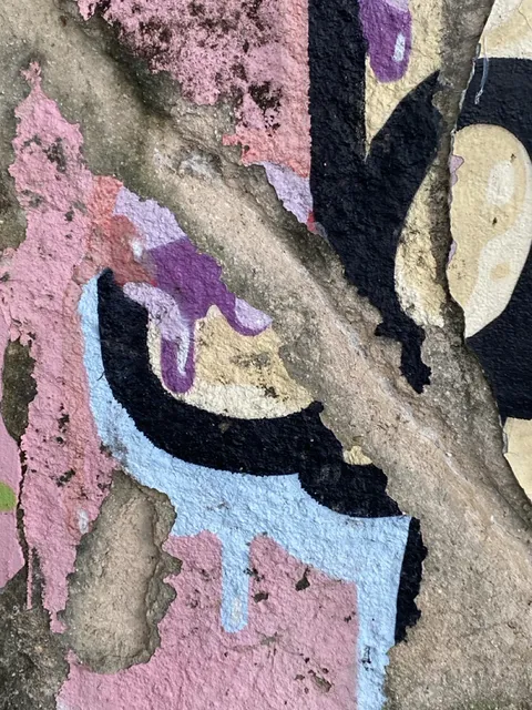 Textures of Santa Teresa photograph 9